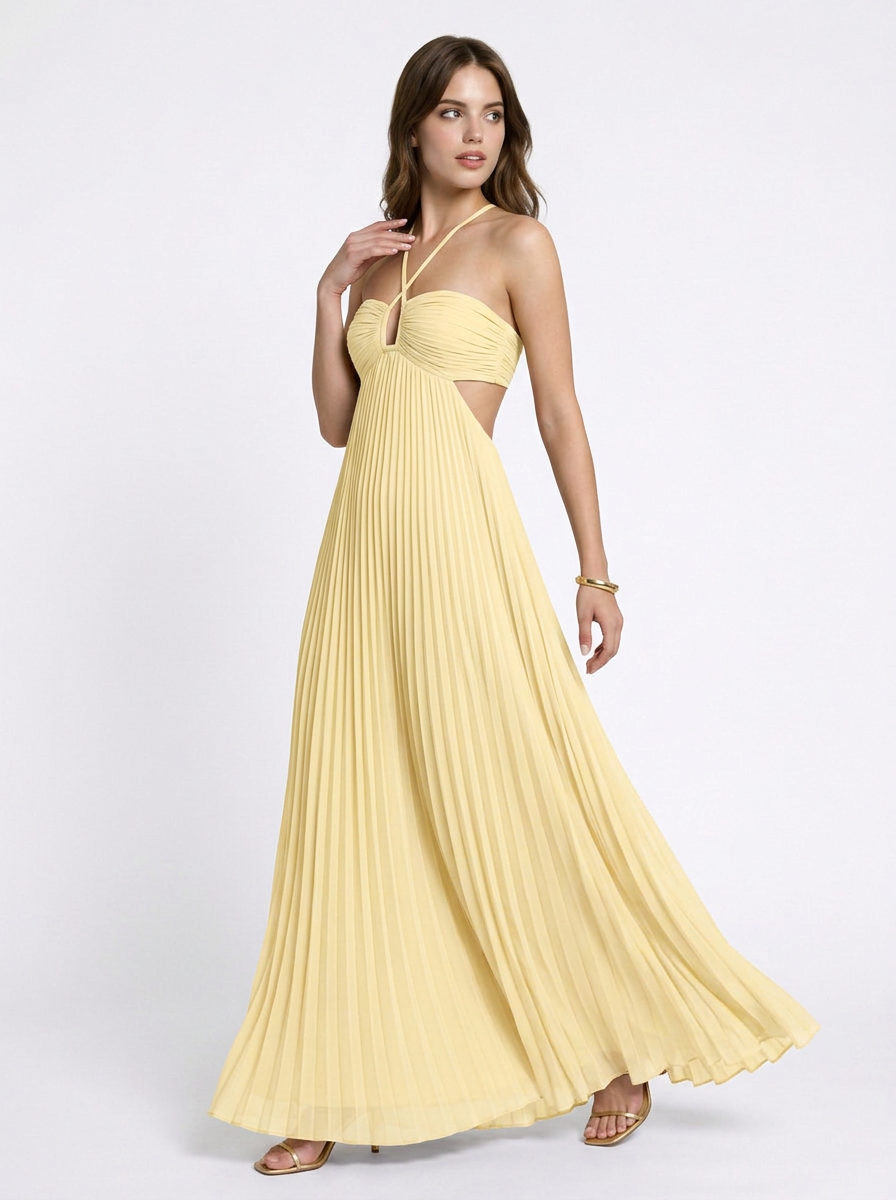 Anya | Pleated Halter Neck Maxi Dress