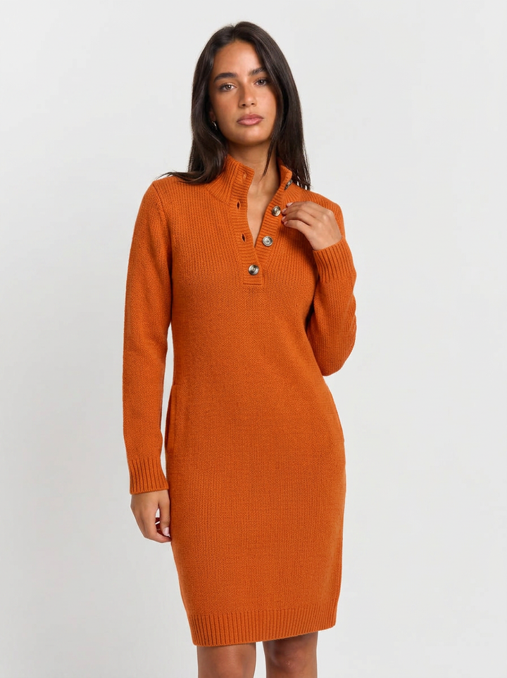 Aria | Women's Winter Dress Midi Turtleneck