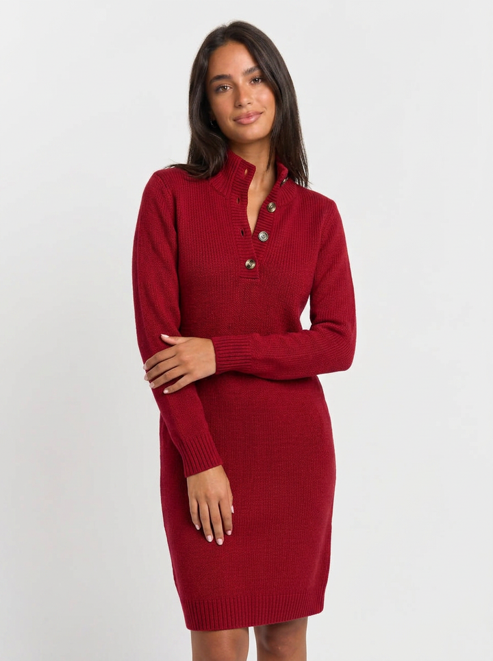 Aria | Women's Winter Dress Midi Turtleneck