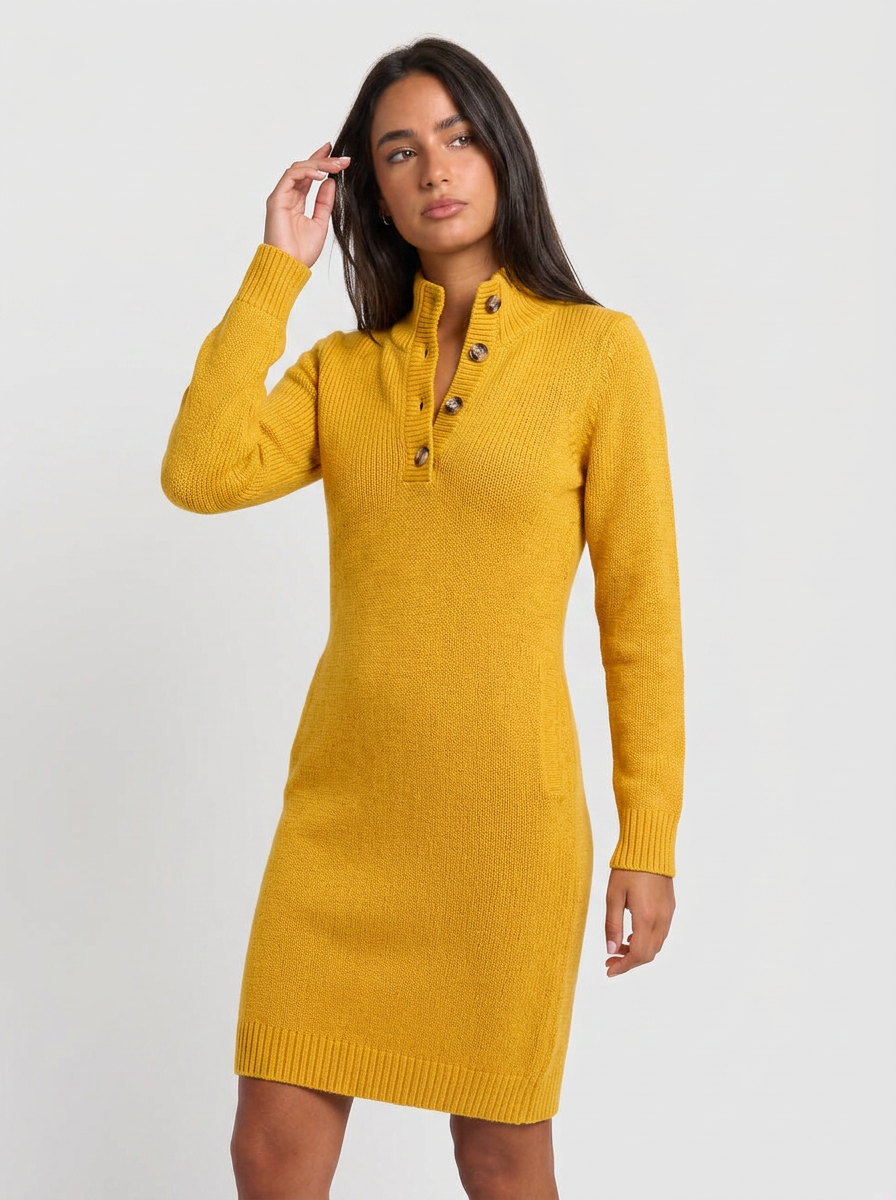 Aria | Women's Winter Dress Midi Turtleneck